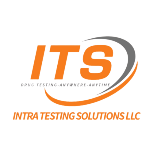 ITS Logo